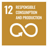 Responsible Consumption and Production