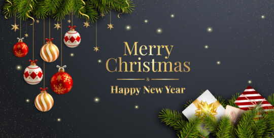 Efacility new year 2024